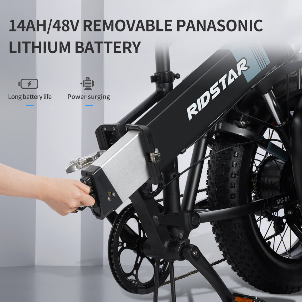 Folding Mountain Electric Bicycle With Fat Tire