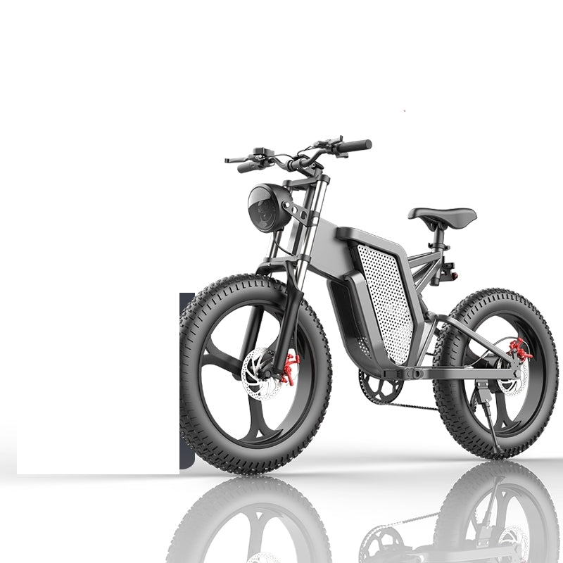 Off-Road Electric Bicycle