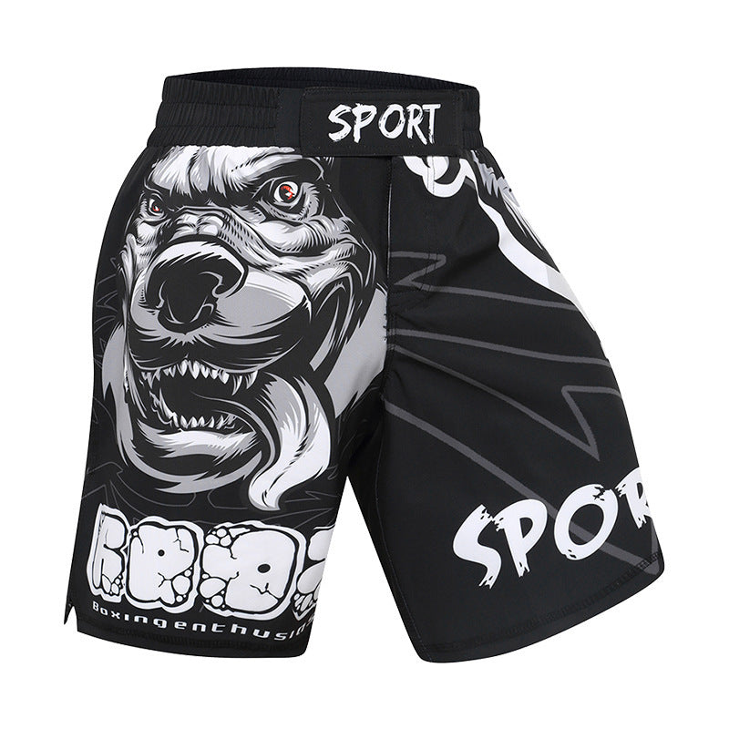 MMA Jiu Ju Sanda Shorts