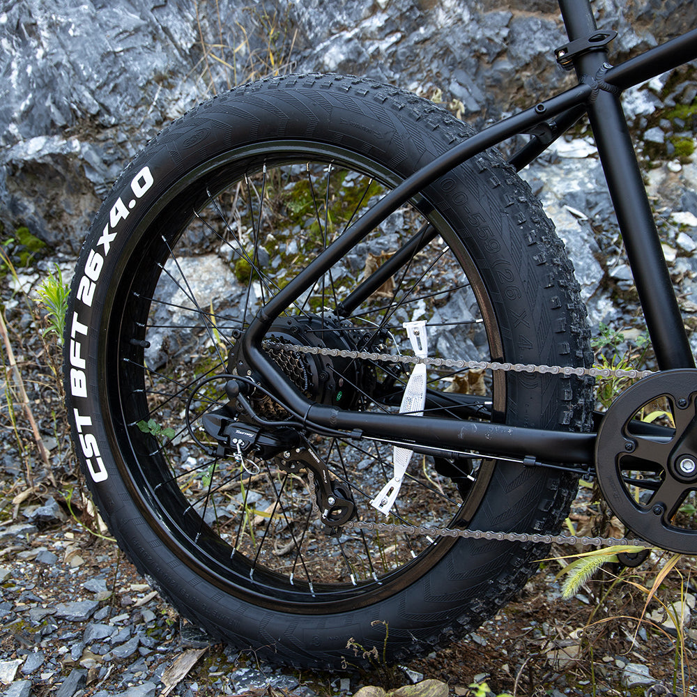 Sivrock Fat Tire Electric Mountain Bike