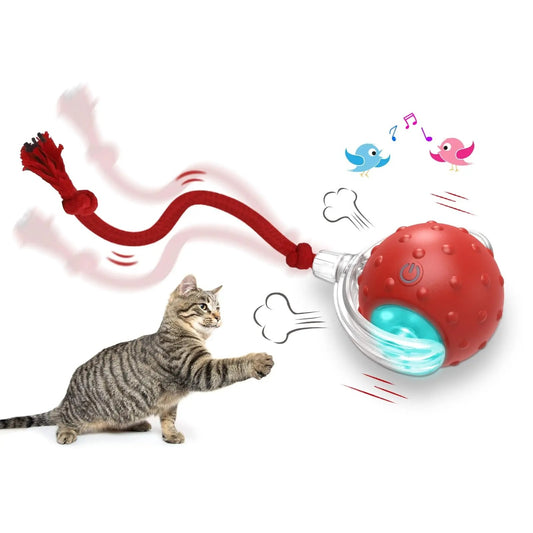 Interactive Cat Toy Ball Super Drive