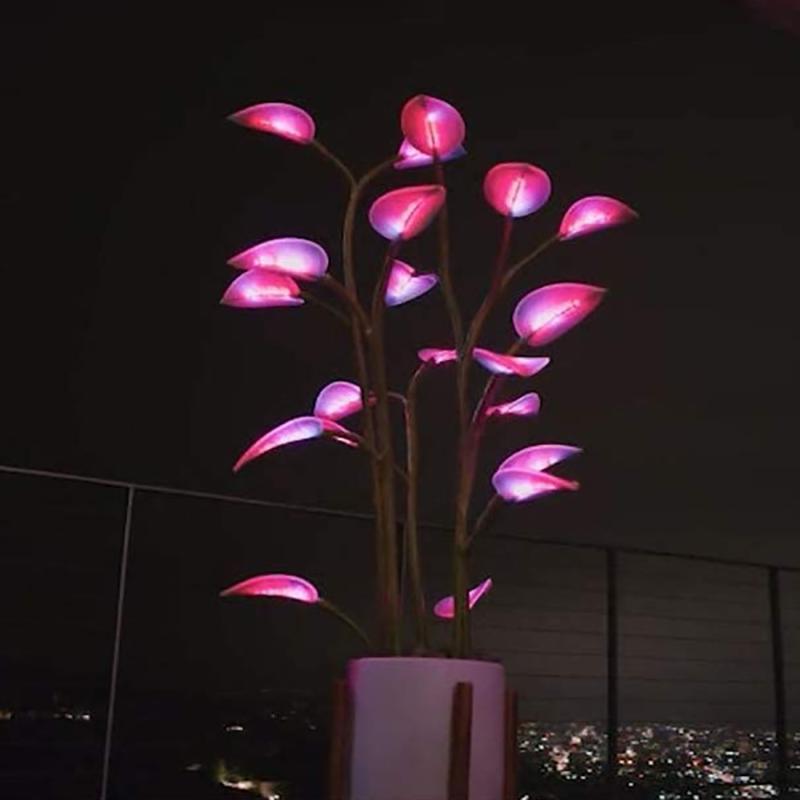 Lumière de plante magique