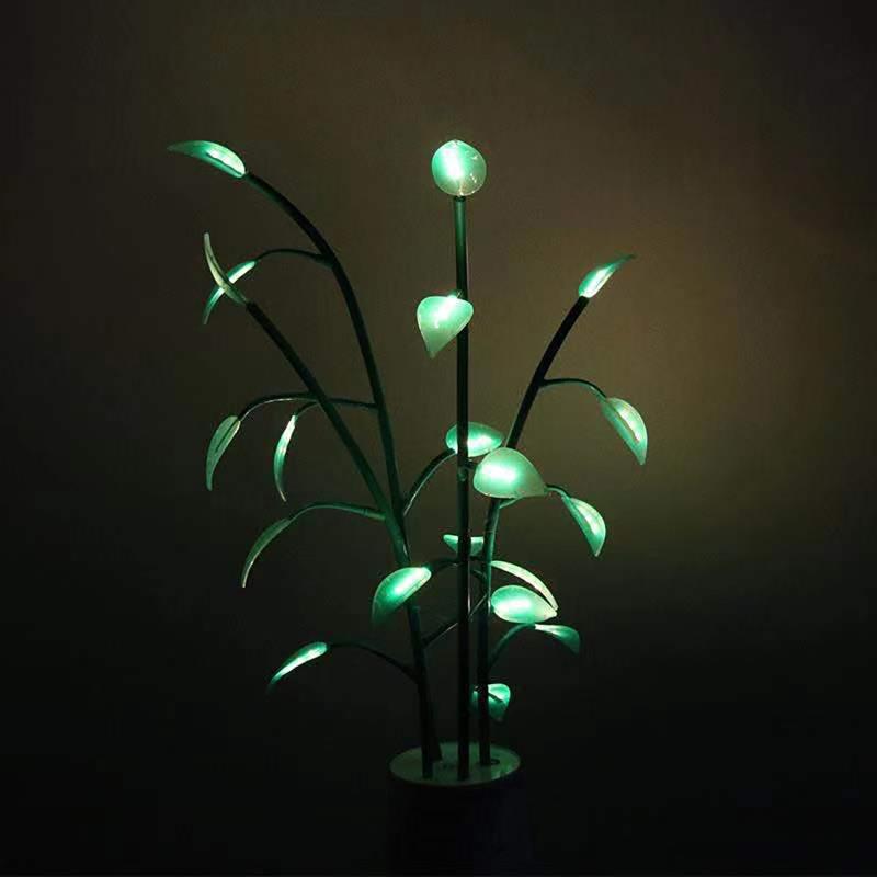 Lumière de plante magique