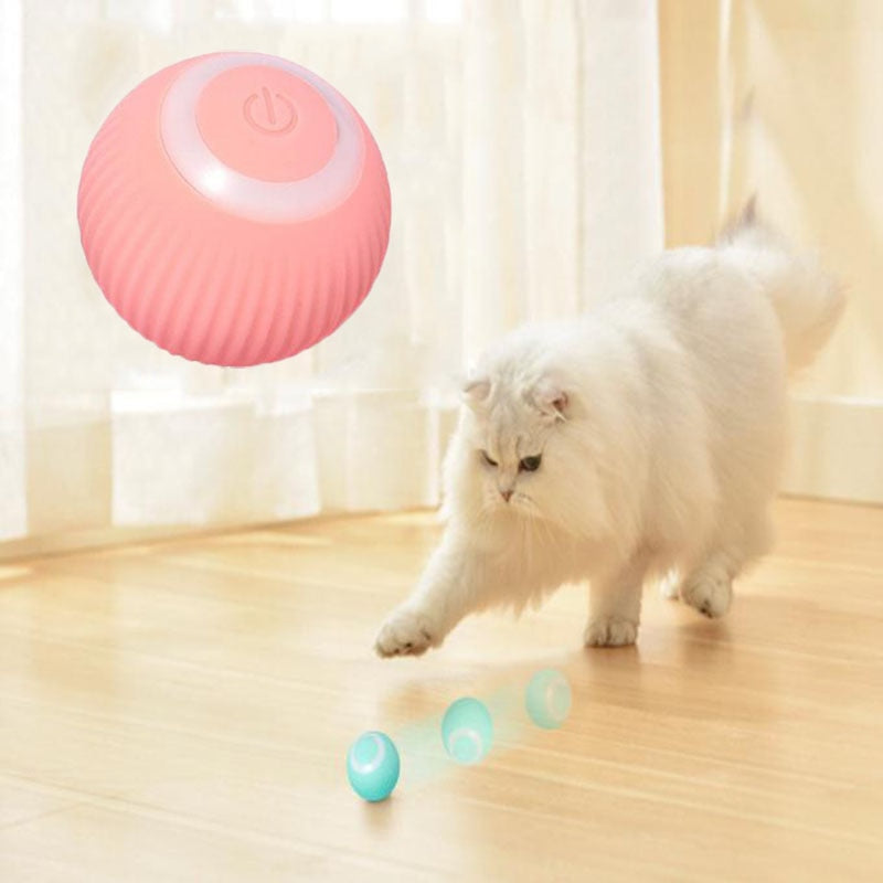 Jouets électriques à billes roulantes pour chat