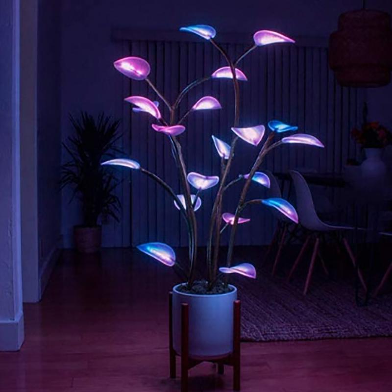 Lumière de plante magique